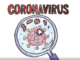 disegno coronavirus